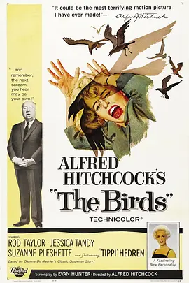 点击看更多海报 The Birds